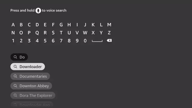 Searching for Downloader App