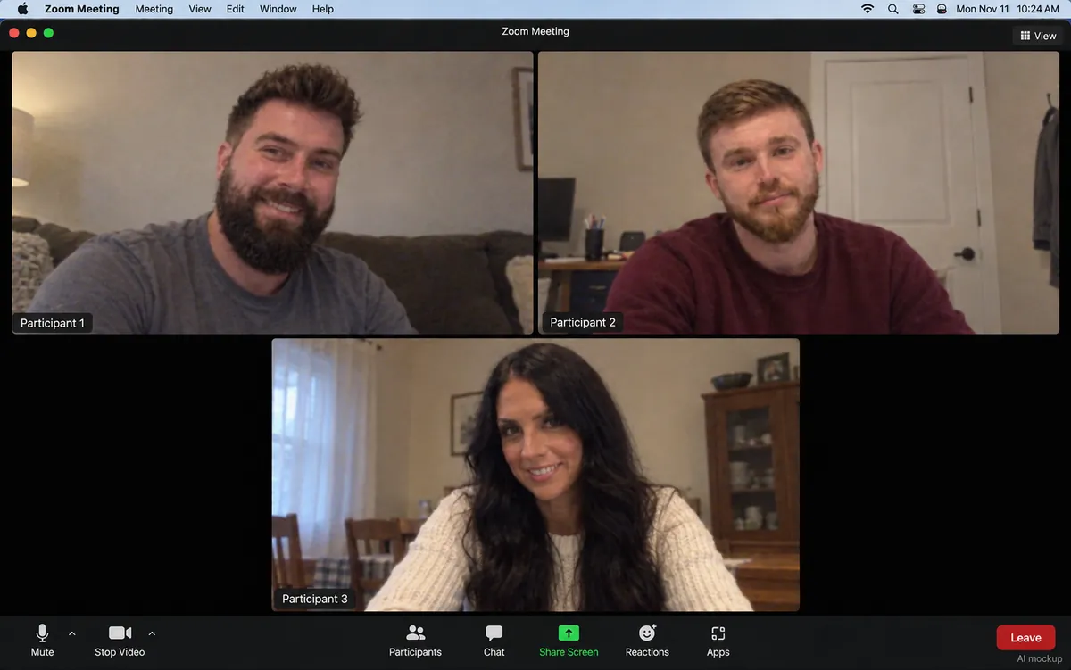 Illustration of Frank, Robert and Karoline on a video call